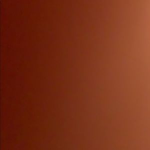 Meet your Posher, Asisha